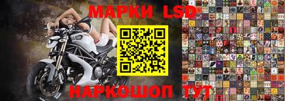 ПСИЛОЦИБИНОВЫЕ ГРИБЫ Краснодар