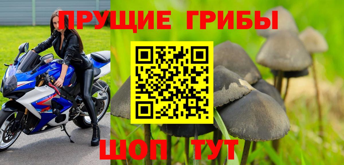 Кемерово  Псилоцибиновые грибы мицелий  Вход с VPN 
